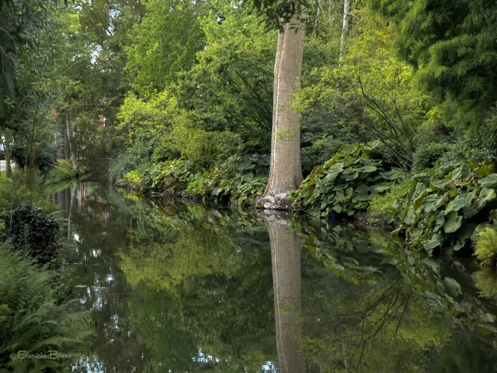 contact opnemen met bomen op de kaart