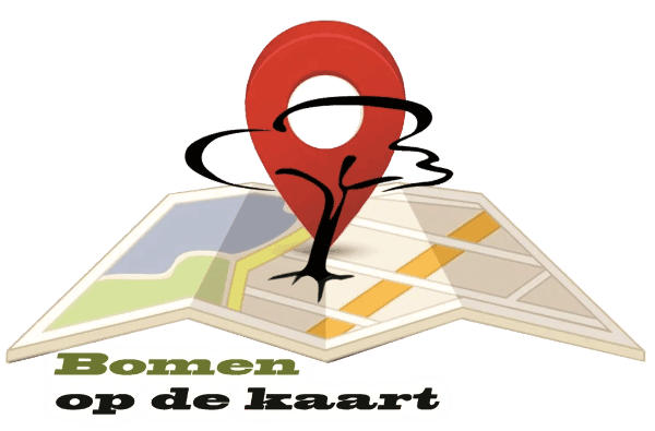 Bomen op de kaart